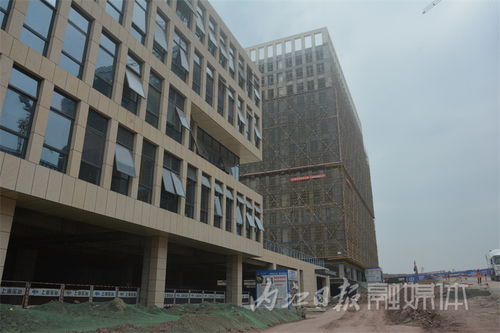 多向发力，激活内江软件外包服务新动能