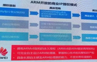 断供风暴 ARM与软件外包双重打击下的华为芯片制造困局